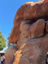 -翱翔飞越地平线