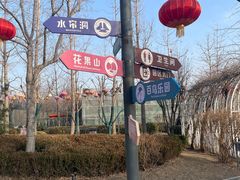 -南宫五洲植物乐园