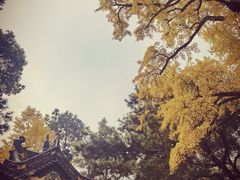 -无锡惠山寺