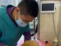 -北京观赏动物医院·24小时大型综合·猫专科·异宠专科