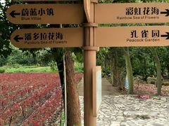 -丹樱生态园