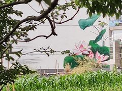 -同里国家湿地公园