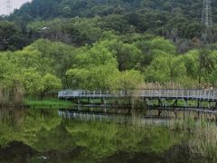 -西湖风景区-江洋畈生态公园