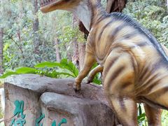 -佛冈森波拉度假区