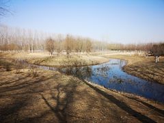 -东郊湿地公园