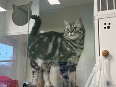 -沐沐家宠物(成寿寺店)