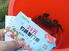 -米果果小镇