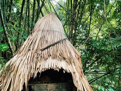 -西双版纳基诺山寨