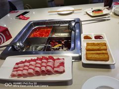 -海底捞火锅(吾悦国际广场店)