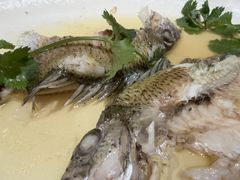 -大门水乡·顺德菜