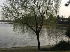 -美兰湖景区