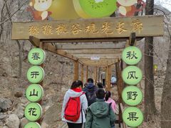 -大岭沟猕猴桃谷风景区