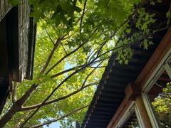 -VOYAGE COFFEE(杨梅竹店)