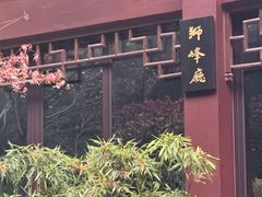 -十八棵（老龙井）御茶园(老龙井店)