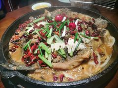 -老板恋上鱼(高新万达店)