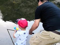 -白河湾生态旅游一条川