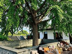 -自如ZSPACE四合院艺术餐厅