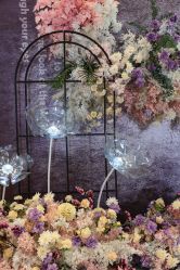 -艾米婚纱&婚礼策划