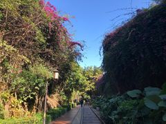 -铁路文化公园
