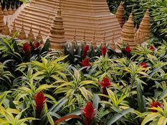 -南宫五洲植物乐园