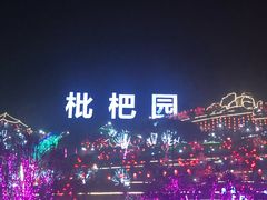 -枇杷园食为鲜火锅(南山店)