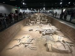 -洛阳周王城天子驾六博物馆