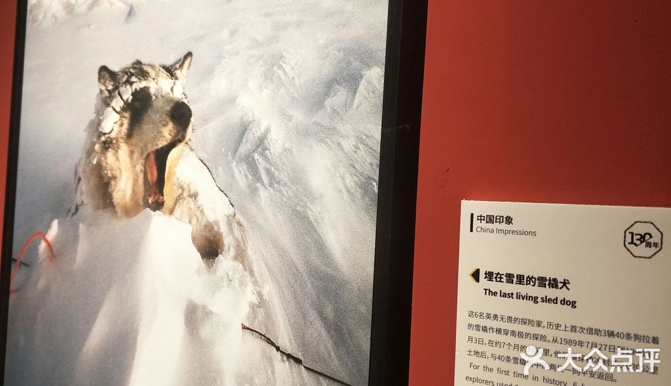 成都展览ㄧ国家地理经典摄影大展–西南首展