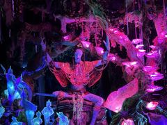 -奥兰多迪士尼动物王国乐园