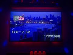 -欢乐迪KTV(新天店)