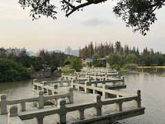 -江心屿景区