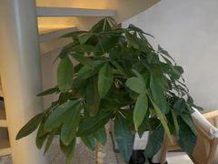 -泰合玺·精油疗愈 SPA(南京河西万达店)