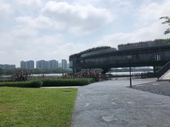 -顺峰山公园