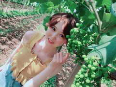 -白鹿原葡萄主题公园