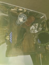 -脉道美容养生会所