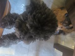 -艾之灸养生馆·推拿·艾灸