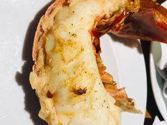 -NORDSEE Frankfurt Fisch Franke