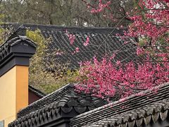 -慧因高丽寺