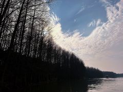 -上海海湾国家森林公园