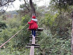-芦仙山景区-飞越丛林探险乐园