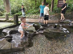 -成都市活水公园