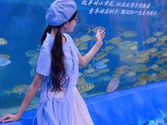 -重庆欢乐海底世界