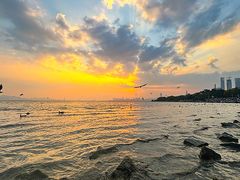 -深圳湾公园(南山区)