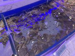 -澜悦港海鲜体验主题餐厅