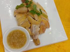 -顺德新鲜猪杂粥(第九分店)