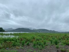 -四明湖