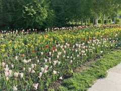 -长春公园(普阳街道)