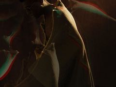 -维乐口腔医院(星海湾分院)