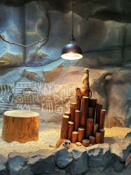 -Zoolung Zoolung动物主题公园(海信广场店)