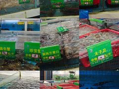 -马王堆海鲜水产市场