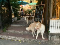 -豆舞咖啡(民乐路店)